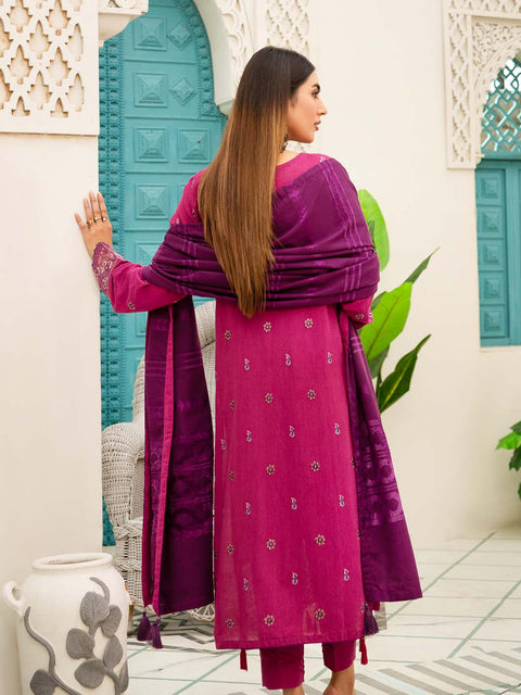 3 piece - Embroidered Karandi Suit with Jacquard Velvet Shawl